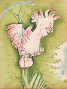 Le zoo des vedettes.