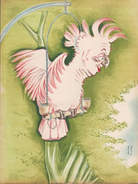 Le zoo des vedettes. 