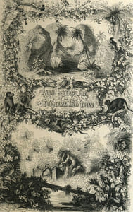 Paul et Viriginie, La Chaumière indienne, Flore.