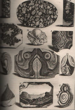 L'Histoire naturelle éclaircie dans une de ses parties principales, l'oryctologie, qui traite des terres, des pierres, des métaux, des minéraux et ...