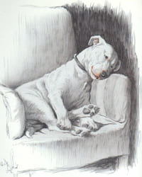 An artist's model.
