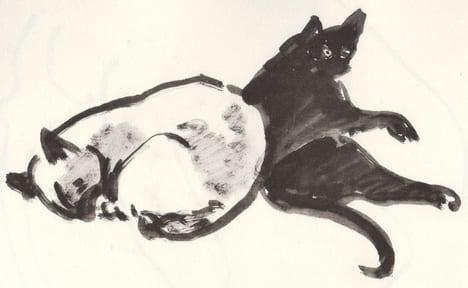 Marquet dessine des animaux.. MARQUET (Marcelle). MARQUET (Pierre-Albert).