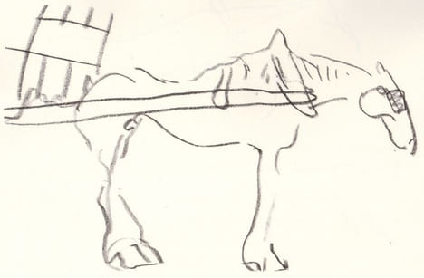Marquet dessine des animaux.. MARQUET (Marcelle). MARQUET (Pierre-Albert).