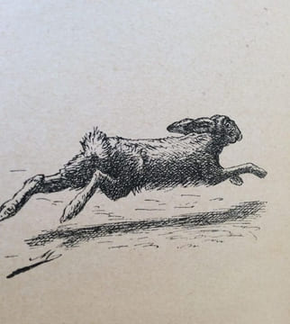 Chasse à courre du lièvre.. CERFON (C.).