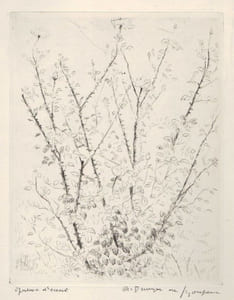 "L'églantier".