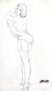 "Pin-up, jupe relevée et porte-jaretelles".