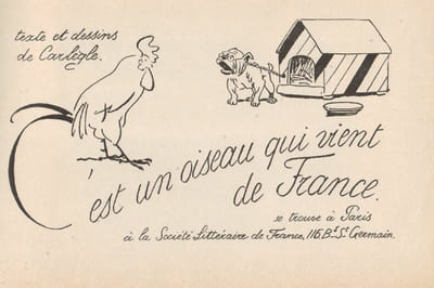 "Trois tortues et quelques autres".