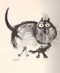 De drôles de chats.