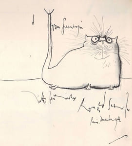 De drôles de chats.
