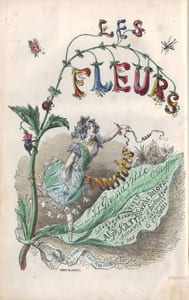 Les Fleurs animées.