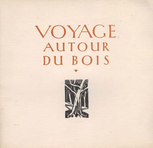 Voyage autour du bois.