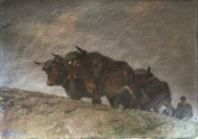 "Buffles au labour".