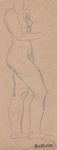 "Nue".