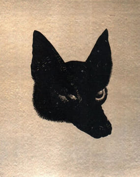 Animaux à fourrure. . FOURRURES JUNGMANN ET CIE. BRET KOCH (Ray).