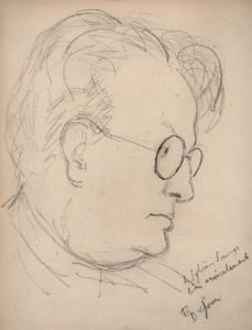 Sylvain SAUVAGE. 