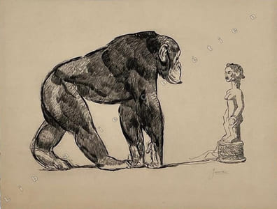 "Chimpanzé devant une statue Baoulé".