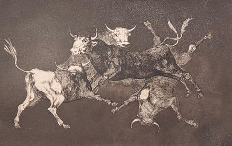 "Lluvia de Toros - Pluie de Taureaux".