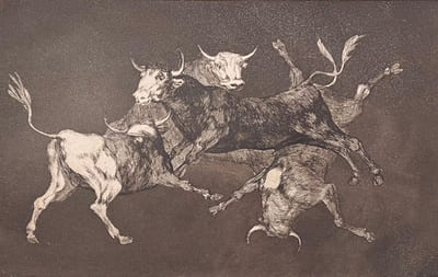 "Lluvia de Toros - Pluie de Taureaux".