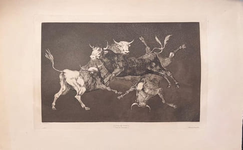 "Lluvia de Toros - Pluie de Taureaux".