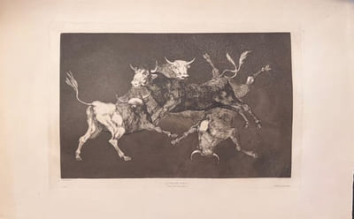 "Lluvia de Toros - Pluie de Taureaux".