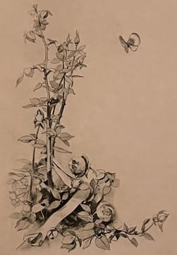 La Dame aux Camélias.. DUMAS (Alexandre, fils). LYNCH (Albert).