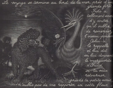 Les Aventures de Fido Caniche.