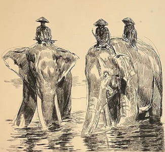 "Cornacs à dos d'éléphants".