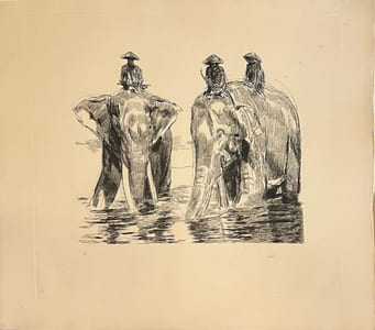 "Cornacs à dos d'éléphants".