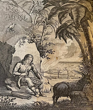 Le Robinson de douze ans. . MALLES de BEAULIEU (Madame).