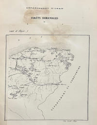 Chênes-Liège. Notices sur les forêts domaniales de l'Algérie.