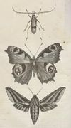 Image de livre