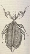 Image de livre