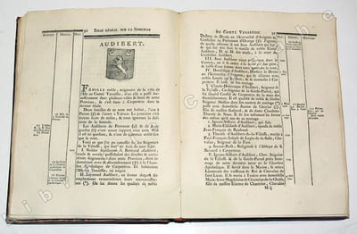 Essai généalogique sur la noblesse du Comté Venaissin et de la ville d'Avignon, dédié aux Etats de cette Province. Tome I.