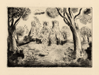 Sarn. Pointes sèches de Hermine David.