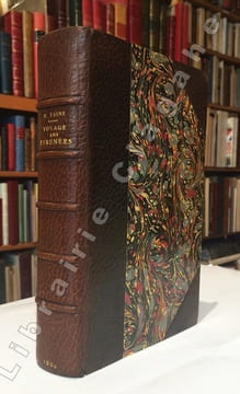 Voyage aux Pyrénées. Troisième édition, illustrée par Gustave Doré.. Taine (Hippolyte Adolphe ; 1828-1893) :