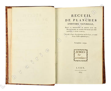 Recueil de planches d’histoire naturelle, dont la description se trouve dans les dictionnaires ou autres ouvrages qui ont rapport à cette science ; précédé d’une classification méthodique, et suivi d’une Table alphabétique ; Exemplaire unique. Singes par Latreille (manuscrit).