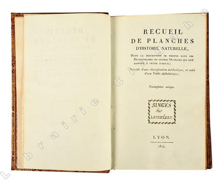 Recueil de planches d’histoire naturelle, dont la description se trouve dans les dictionnaires ou autres ouvrages qui ont rapport à cette science ; ...