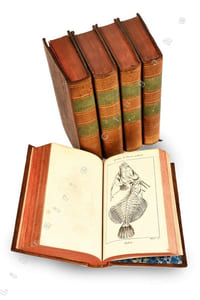 Leçons d’anatomie comparée de G. Cuvier, membre de l’Institut national, professeur au Collège de France et à l’école centrale du Panthéon, etc. ; recueillies et publiées sous ses yeux par C. Duméril, Duvernoy, chef des travaux anatomiques de l’Ecole de Médecine de Paris. 