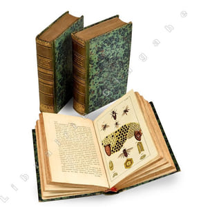 Récréations tirées de l’histoire naturelle, traduites de l’allemand de M. Wilhelm,... par le traducteur du Socrate rustique [Frey Des Landes (Jean Rodolphe)] 