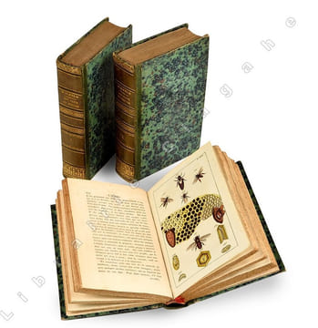 Récréations tirées de l’histoire naturelle, traduites de l’allemand de M. Wilhelm,... par le traducteur du Socrate rustique [Frey Des Landes (Jean ...
