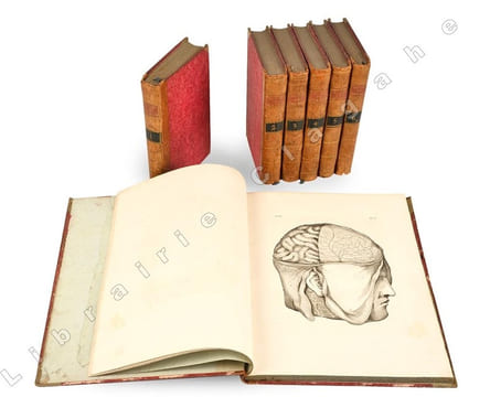 Oeuvres de Vicq-d’Azyr, recueillies et publiées avec des notes et un discours sur sa vie et ses ouvrages, par Jacques-Louis Moreau (de la Sarthe), ...