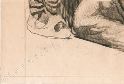 Buffle macédonien, Salonique, 1917.