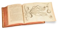Opera Omnia seu thesaurus locupletissimus Botanico - Medico - Anatomicus, viginti quatuor tractatus complectens. . Malpighi (Marcello ; 1628-1694) :