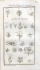 Principes de botanique, expliqués au lycée républicain.. Ventenat (Étienne Pierre 1757 - 1808) :