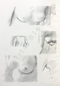 Seins, par Ramon Goméz de La Serna, choix et traduction de Jean Cassou, dessins inédits de Pierre Bonnard. Les Cahiers d'aujourd'hui, publiés sous la direction de George Besson (N°15, 1924).