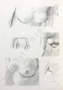 Seins, par Ramon Goméz de La Serna, choix et traduction de Jean Cassou, dessins inédits de Pierre Bonnard. Les Cahiers d'aujourd'hui, publiés sous la ...
