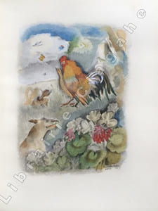 Chantecler, pièce en quatre actes, en vers. Représentée pour la première fois au théâtre de la Porte-Saint-Martin le 7 février 1910. Illustrations de Mariette Lydis. Bandeaux et culs-de-lampe décoratifs de Sylvain Sauvage, gravés sur bois par Gilbert Poilliot.