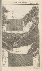 Aviceptologie française, ou Traité général de toutes les ruses dont on peut se servir pour prendre les Oiseaux ; avec une collection considérable de figures et de pièges propres à différentes chasses, par B. Sixième édition, revue, corrigée et augmentée d'un Traité succint du Rossignol, et d'un grand nombre d'Oiseaux de volière ou de chant, avec la manière de les nourrir, les élever et empailler ; suivi d'un petit Traité général sur diverses chasses, notamment de celle de Lièvre, du Lapin, du Blaireau, du Renard et du Loup, par J. C.