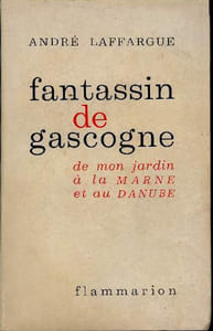 Fantassin de Gascogne. De mon jardin à la Marne et au Danube.