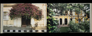 Pondicherry. Essays by Pascal Bruckner, Akash Kapur, and Amin Jaffer. par CORTÉS (Sebastian). - Image 4